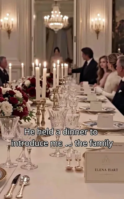 Frame ep01-f02 from episode 1 — The dinner (ep1; subtitles as aired — He held a dinner to introduce me)