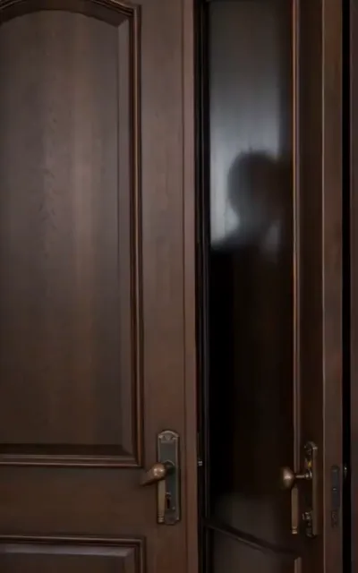 The mirrored doors — a head in dark profile silhouetted against the glass panel of a set of vintage double doors, warm interior tones (ep2; atmosphere beat — estate frame)